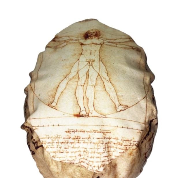 Gorro quirúrgico El Hombre de Vitruvio Da Vinci hecho en México
